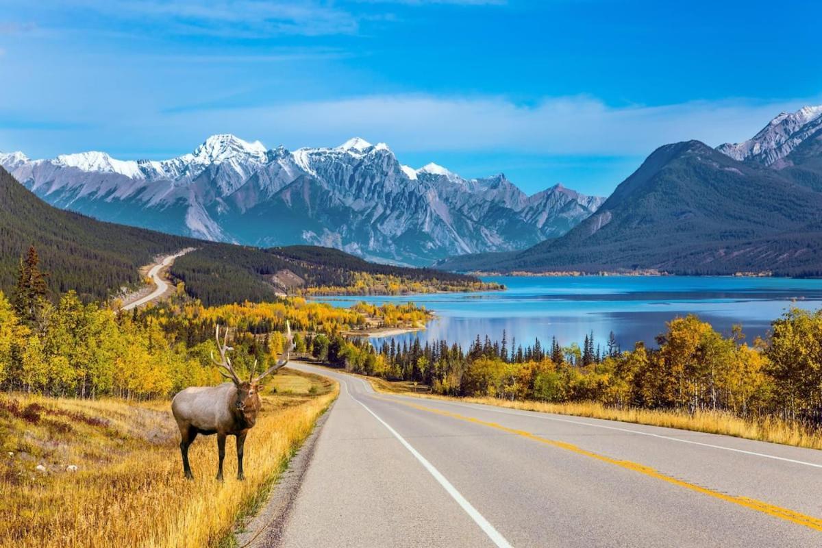 Beautiful Newly Reno 2Bdm 2 Bth Sleep Up To 6 Adults & Kids Mountain View Townhouse Suite Canmore Exteriör bild